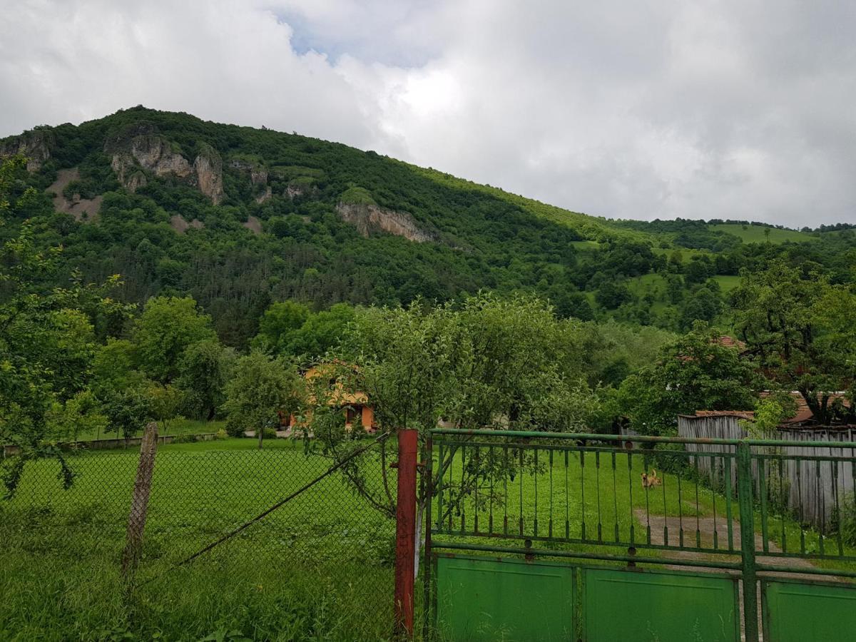 Мечтаната Селска Къща На Реката Със Семейство И Приятели! ريباريكا المظهر الخارجي الصورة